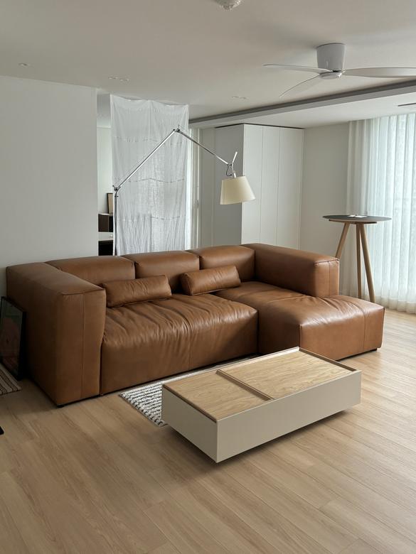 잭슨 Plume Sofa