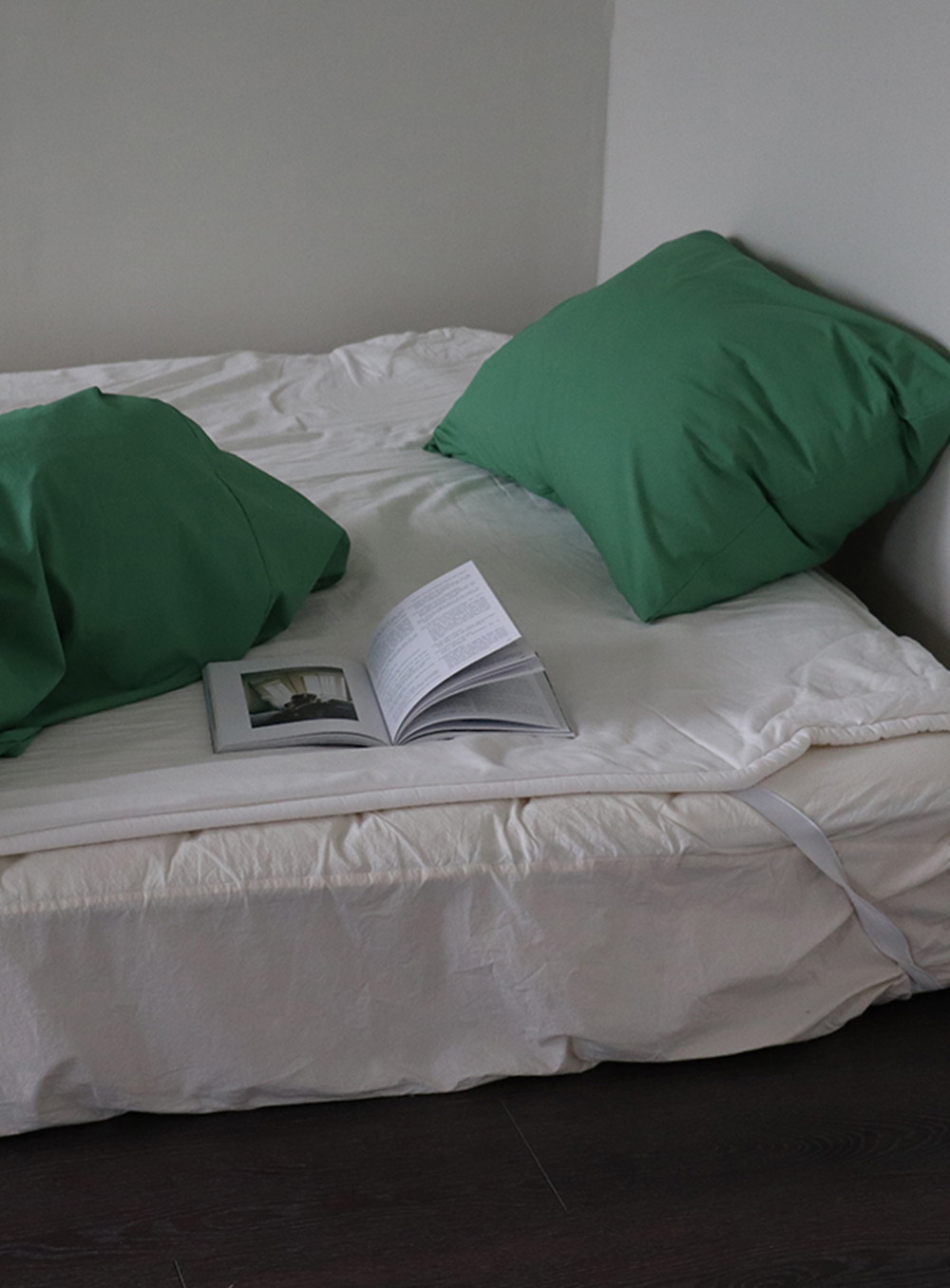 에이지트 (agt) - Green cotton pillow cover