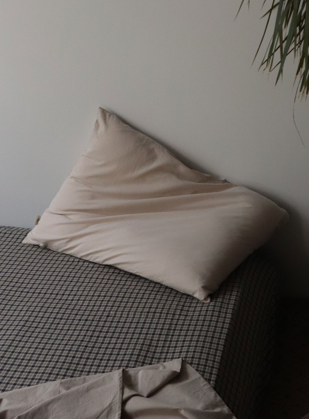 에이지트 (agt) - Beige cotton pillow cover